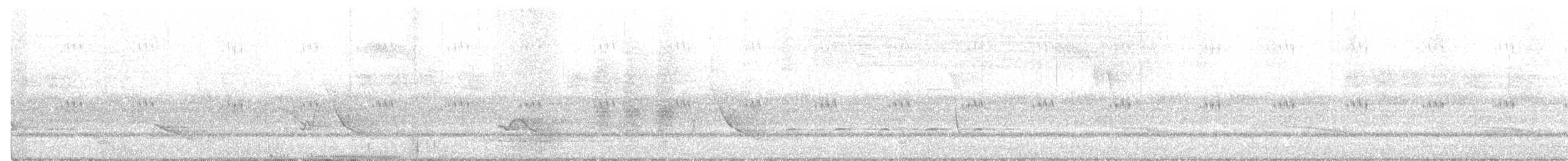 Glanzfleckdrongo - ML300298381
