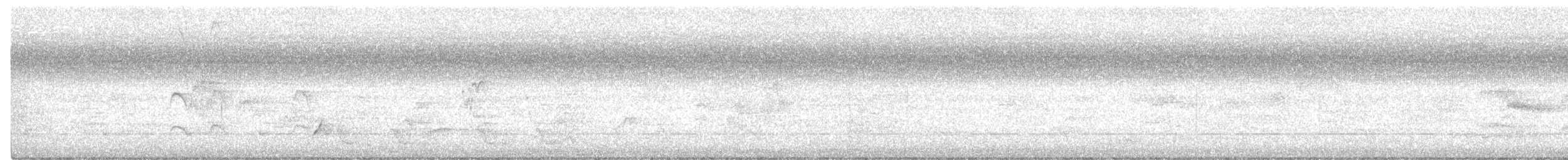 Королаз плямистобокий - ML300304881