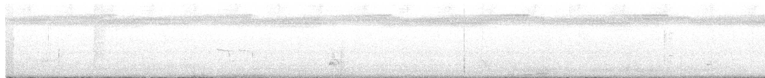 斑文鳥 - ML300305251