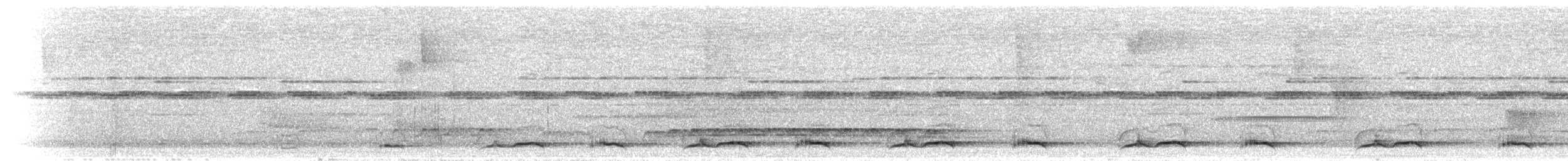 Лінивка рудоголова - ML300320