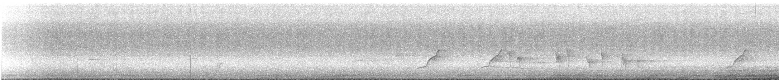 Leaden Flycatcher - ML300323031
