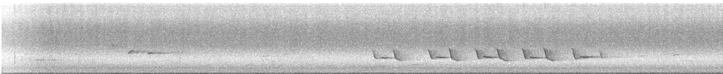 Leaden Flycatcher - ML300323541