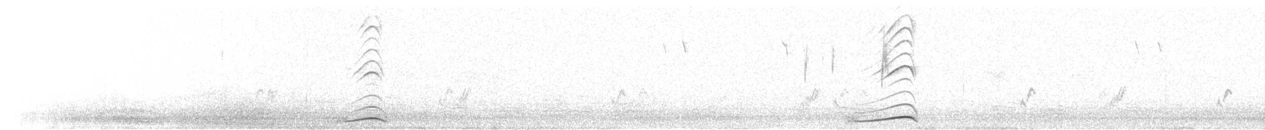 Pacific Koel (Australian) - ML300371571