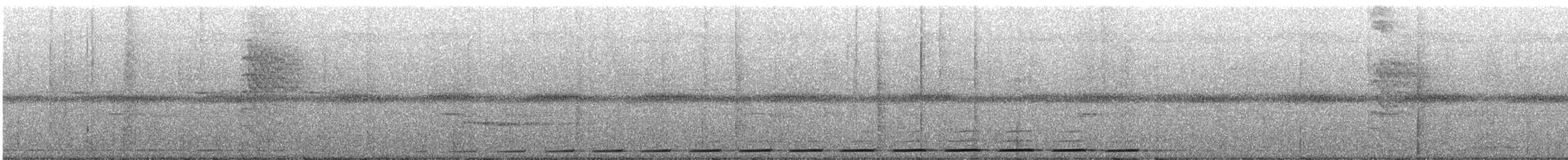 Ockerbart-Ameisenpitta - ML300382401