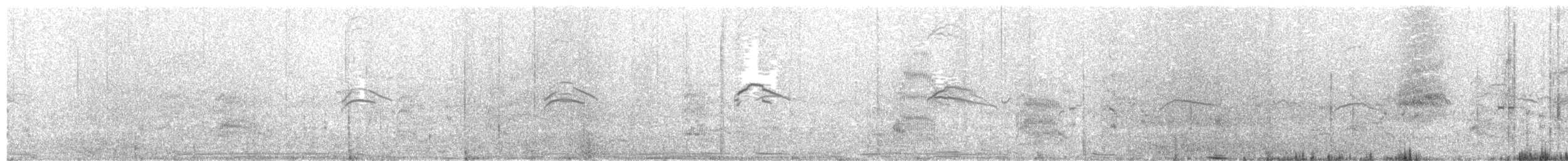 Sperlingsvogel, unbestimmt - ML300390451
