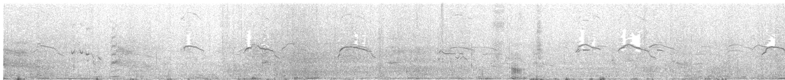 Sperlingsvogel, unbestimmt - ML300390471