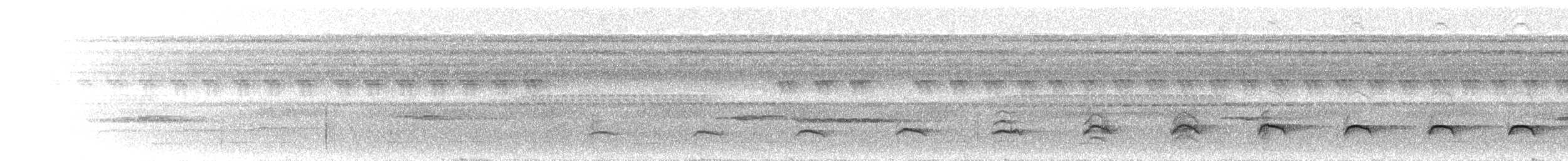 Лінивка-коротун сіроголова - ML300413