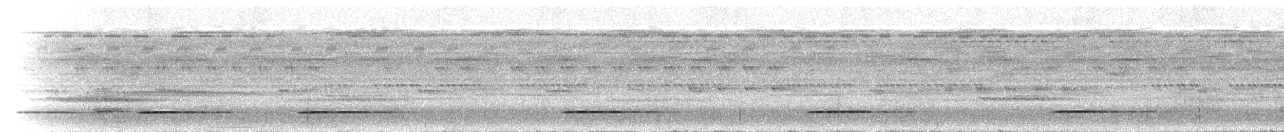 Bartlett's Tinamou - ML300416