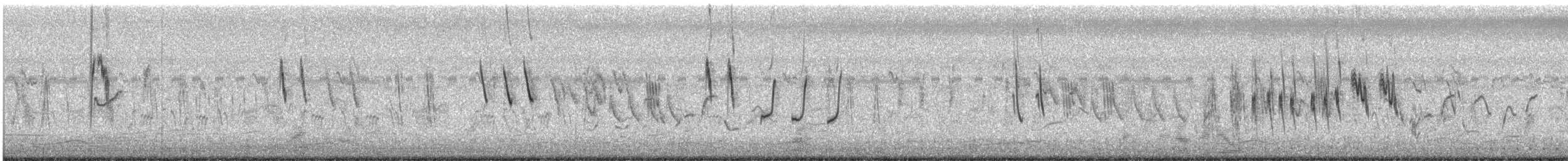 Singing Bushlark (Australasian) - ML300439331