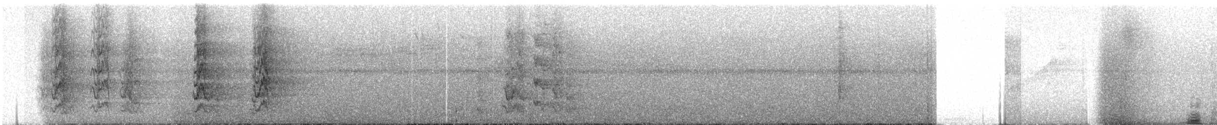 Красноухая которра - ML300440621