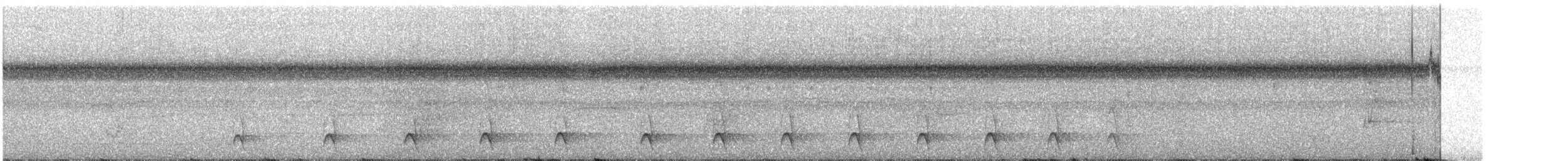 Schwarzgesicht-Ameisenwürger - ML300443431