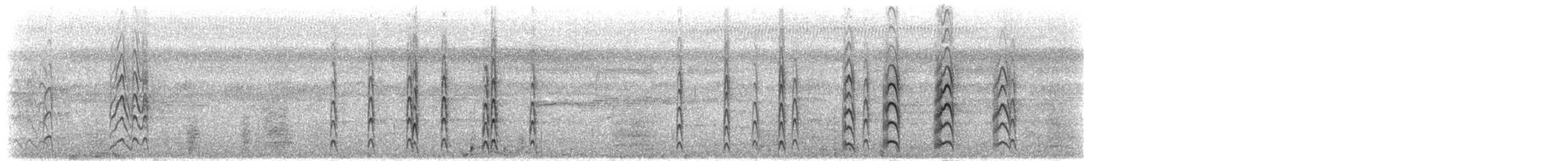 amazondvergterne - ML300446