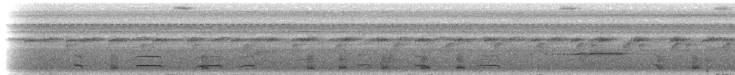 Белобородая якамара - ML300447