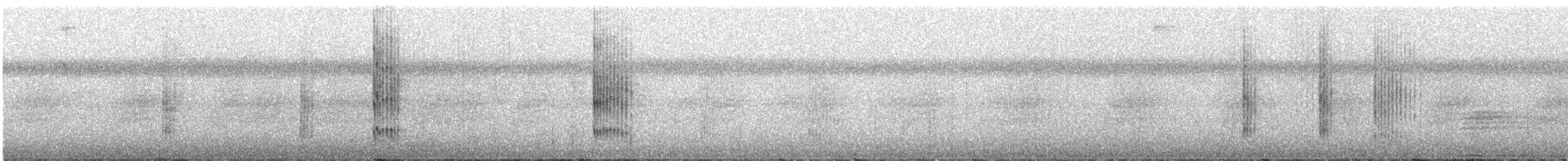 Pale-eyed Pygmy-Tyrant - ML300491281
