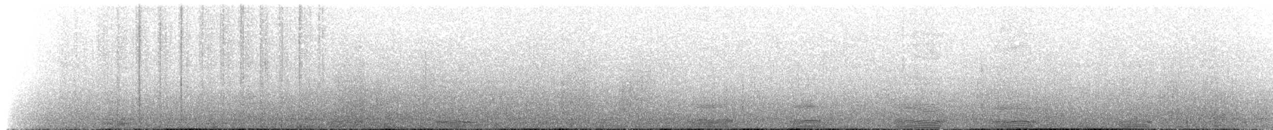 Cormorán Antártico - ML300515301