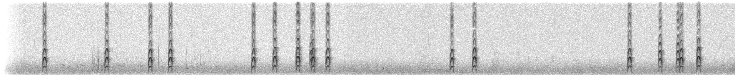 sørhavsterne (vittata gr.) - ML300523021
