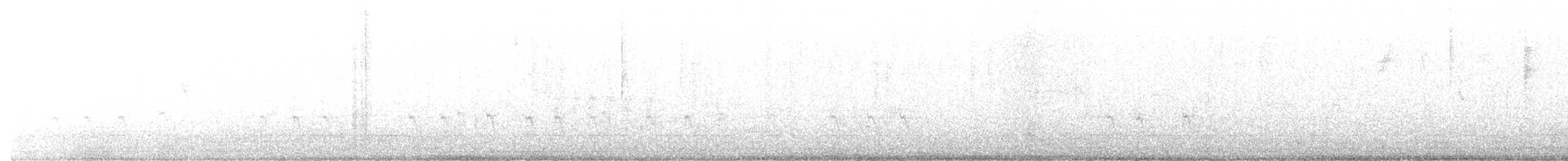 Шишкар ялиновий - ML300554021