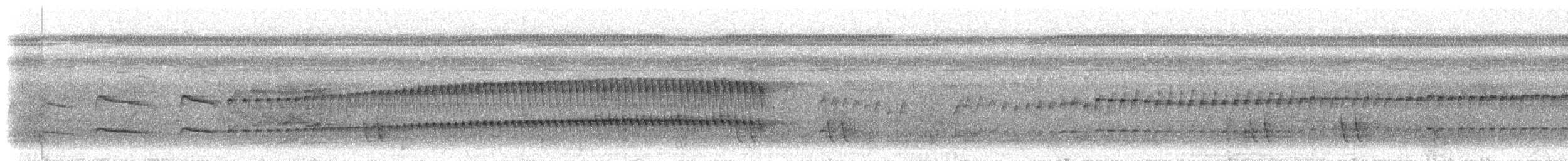 Белоухая якамара - ML300558