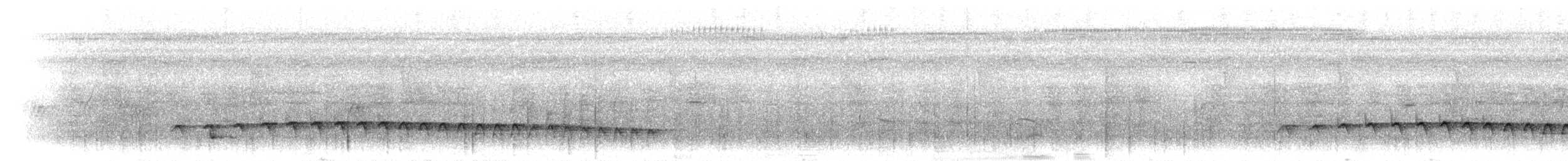 Schwarzkopf-Ameisenschnäpper - ML300559