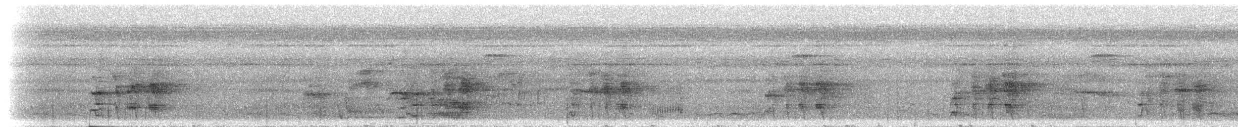 Caïque à queue courte - ML300567