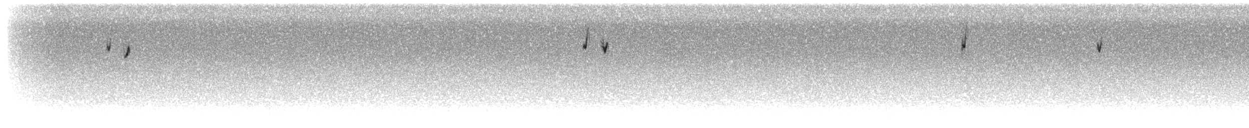 Тёмная трясохвостка - ML300568911