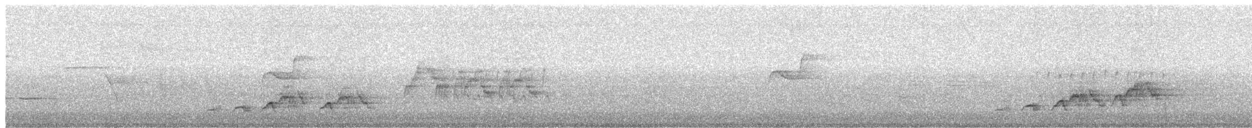 Дрізд-короткодзьоб Cвенсона - ML30057191