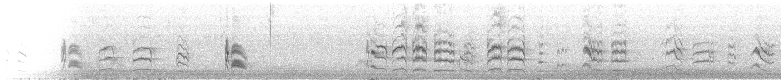 Серогрудый тиранн - ML300591801