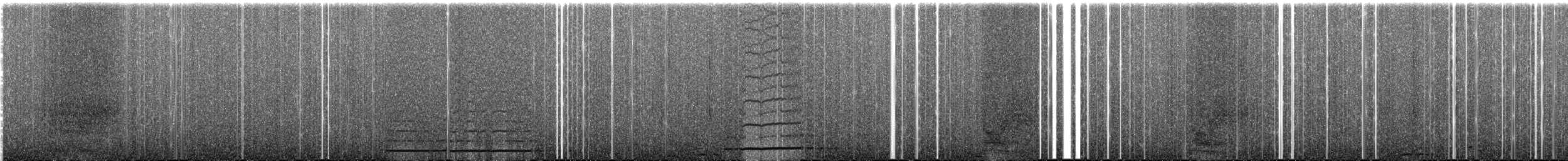 Méliphage carillonneur - ML300618701