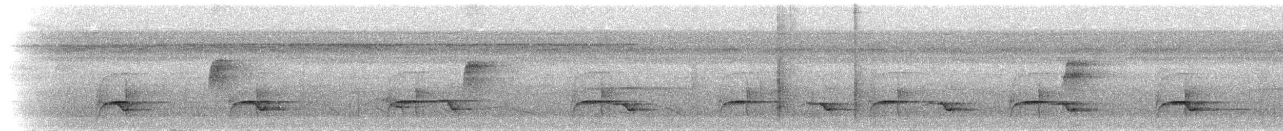 Синелобая якамара - ML300619