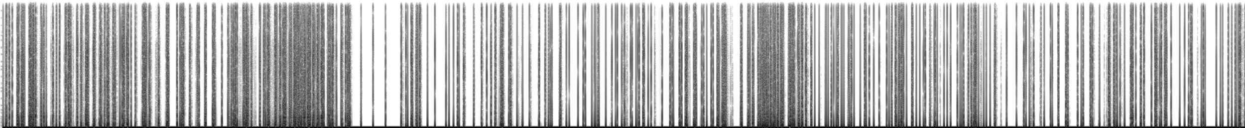 Yellow-eyed Penguin - ML300620011