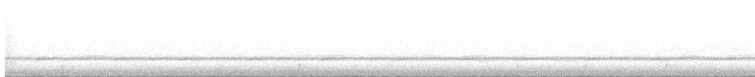 Schwarzkehl-Nachtschwalbe - ML300626061
