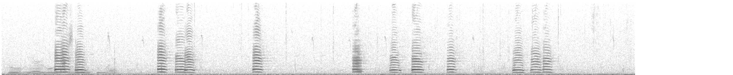 Trompeterschwan - ML300629581