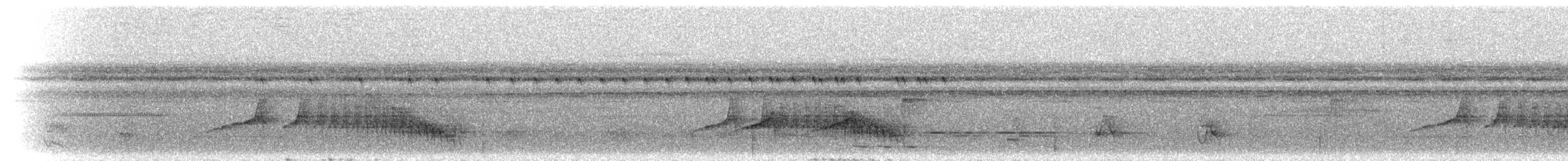 Blaugrau-Ameisenvogel - ML300632