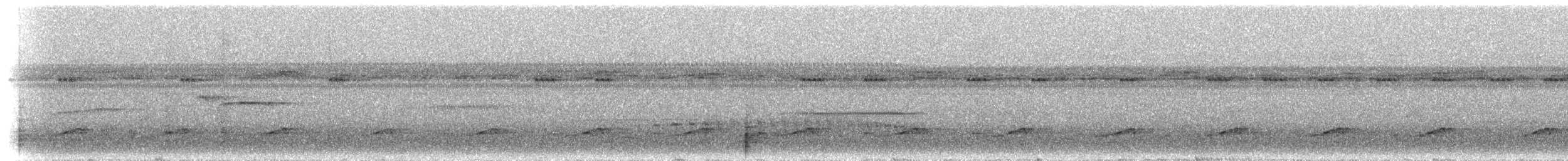 Лінивка-коротун сіроголова - ML300633