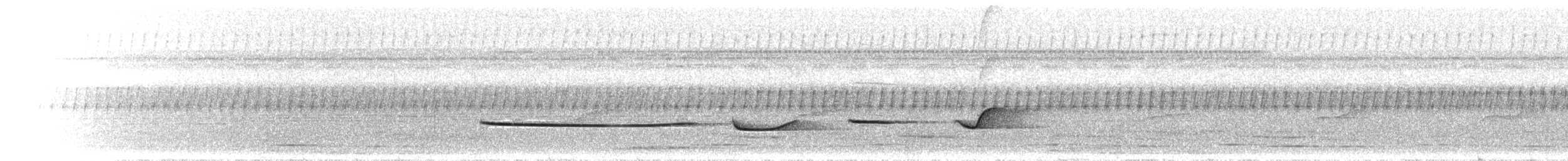 Дроздовая сельвиния - ML300663