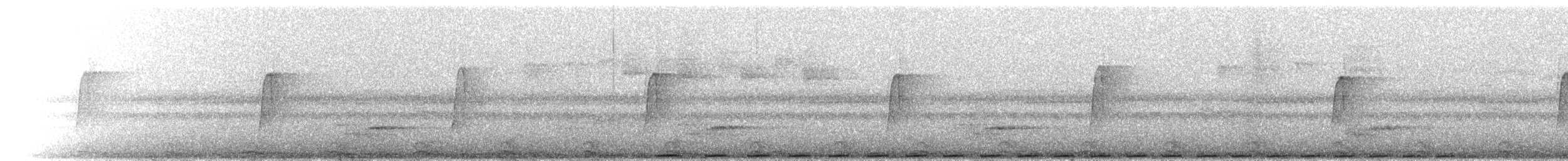 Weißmantel-Bartvogel - ML300687