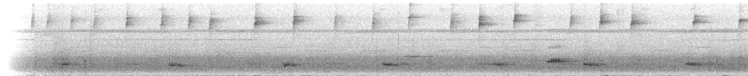 tukan volavý (ssp. citreolaemus) - ML300727