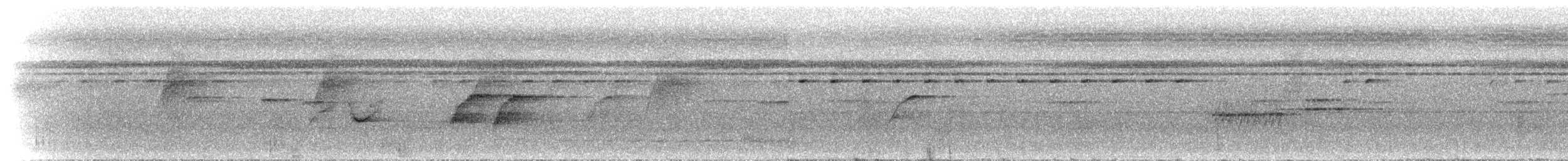 Eufonia Ventricanela - ML300728