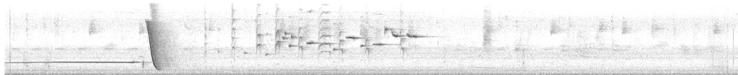 Schwarzschopfflöter - ML300739791