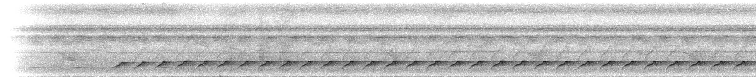 Лінивка-строкатка чорновола - ML300749