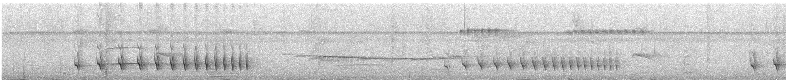 Spot-tailed Antwren - ML300783371