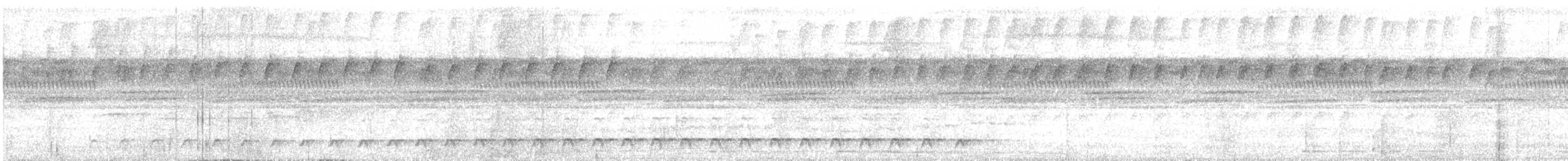 ヒメキヌバネドリ - ML300793331