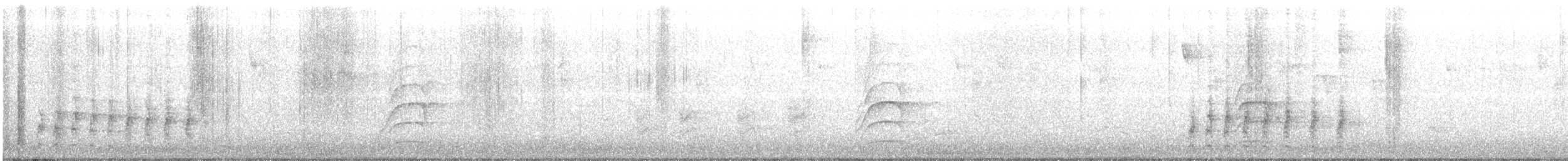 Медный трогон - ML300813201