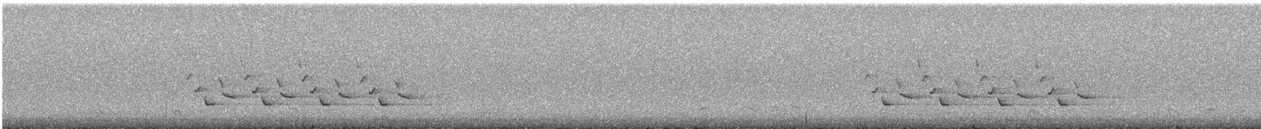 Karolina Çıtkuşu - ML300844431