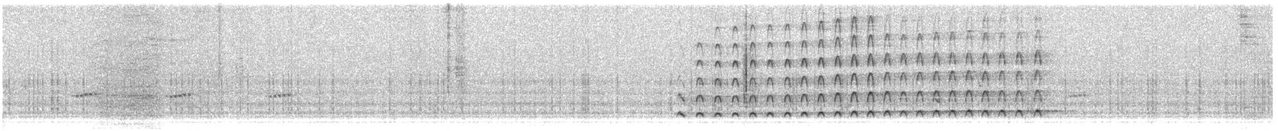 Silbersinghabicht - ML300860621