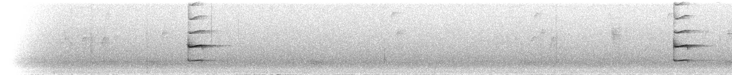 Grallaire d'Urrao - ML300863