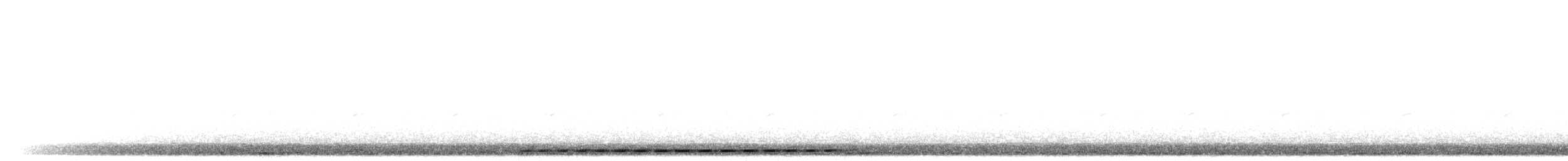 Grauscheitel-Ameisenpitta - ML300932