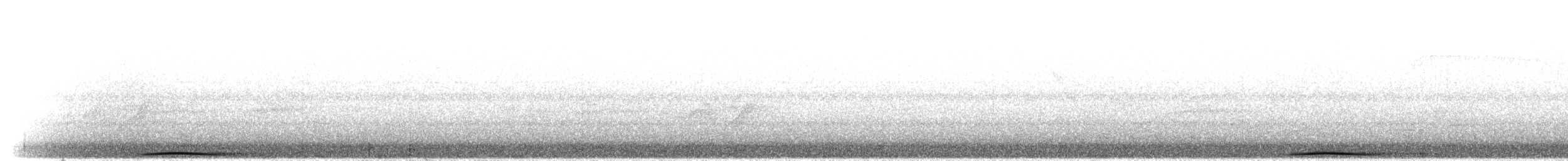 Tolima Dove - ML300936