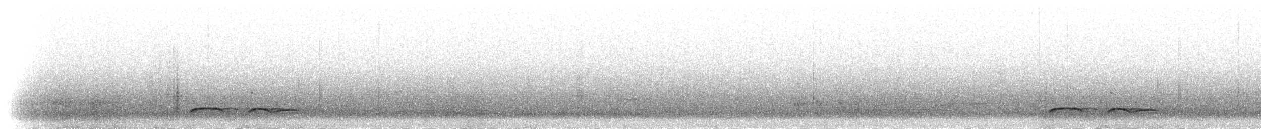 Tinamou élégant - ML300998