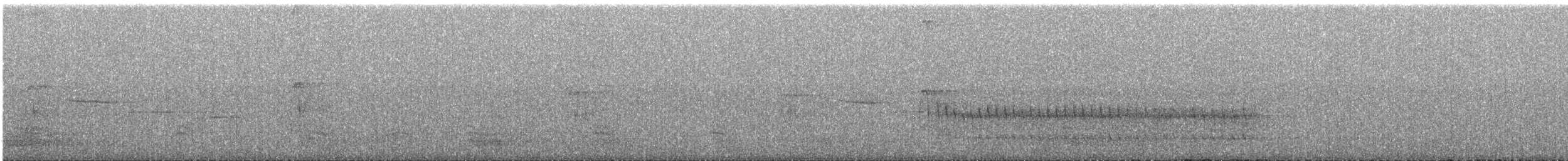 セジロアカゲラ - ML301031391